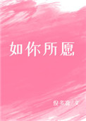 如你所愿小说