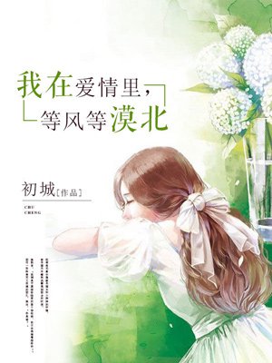 我在等我的爱情