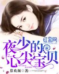 夜少的心尖宠儿
