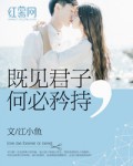 既见君子的既