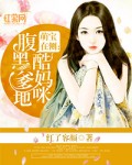 腹黑爹地酷妈咪txt