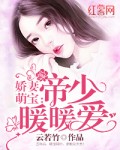 娇妻萌宝：帝少暖暖爱
