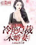 我的冷艳总裁末婚妻
