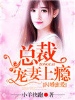 闪婚蜜爱总裁老公极致宠