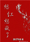 想红想疯了小说百度云