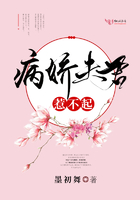 我家夫君惹不起虐吗