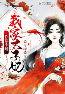 我家太子妃你惹不起小说