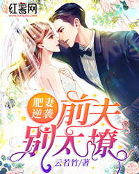 肥妻逆袭：狼性前夫太凶猛