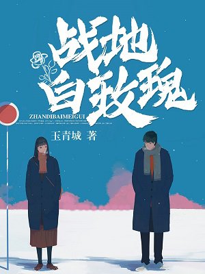 战地白玫瑰