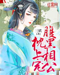 腹黑相公枕上宠全文免费