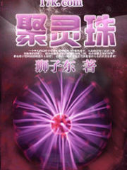 聚灵珠怎么换经验