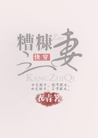 糟糠之妻(快穿)衣青