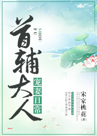 首辅大人宠妻日常笔趣阁