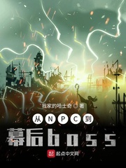 从npc到boss boss
