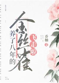 养了八年的金丝雀飞走啦百度网盘