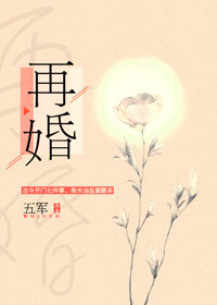 再婚题材小说