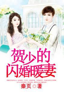 贺少的闪婚暖妻（贺先生的恋恋不忘）
