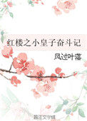 红楼之小皇子求生记