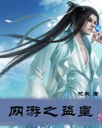 网游之盗贼类小说