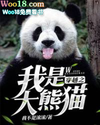 我是大熊猫小说飞卢