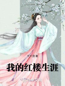 我的红楼生涯千斤顶小说