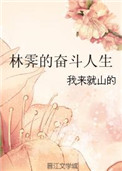 林霁的奋斗人生无防盗
