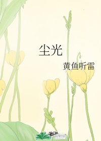 尘光旧梦全文免费阅读