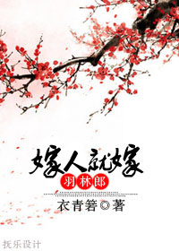 嫁人就嫁羽林郎txt