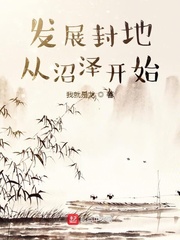 发展封地从沼泽开始小说