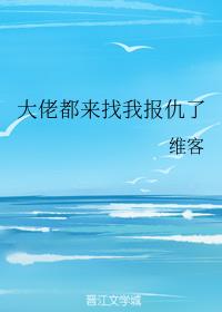 大佬们都找我复仇了 小说