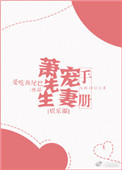 萧先生宠妻手册百度网盘