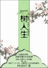 一树人生 priest讲什么